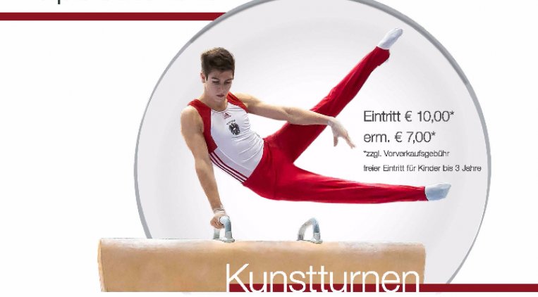 13th Future Cup Plakat_Ansicht.jpg